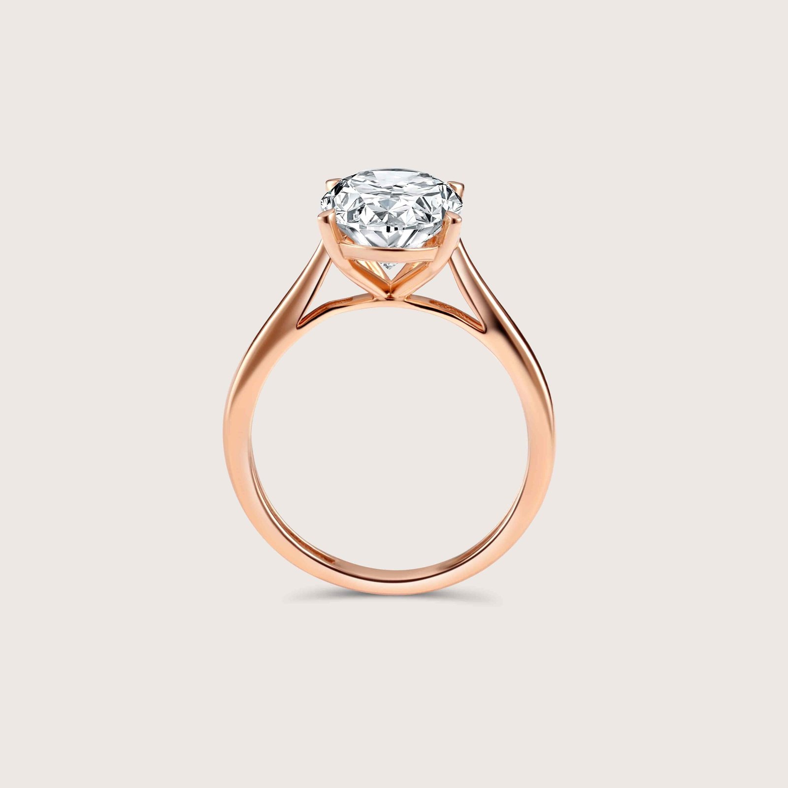 DSC0420127 Rose DSC0420127 Rose scaled